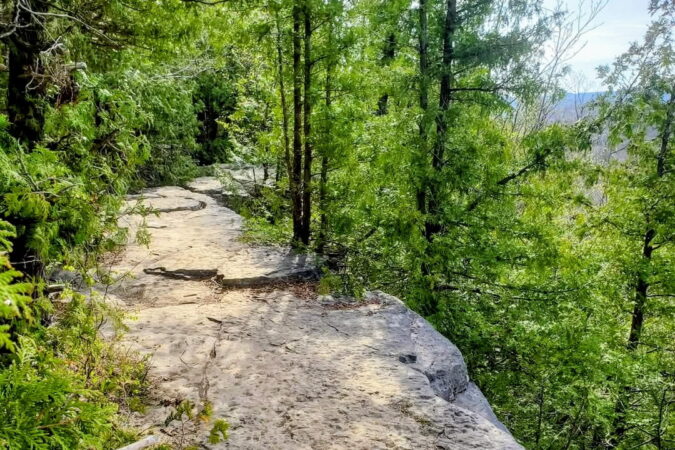 A rocky hiking path with lots of green trees around.
