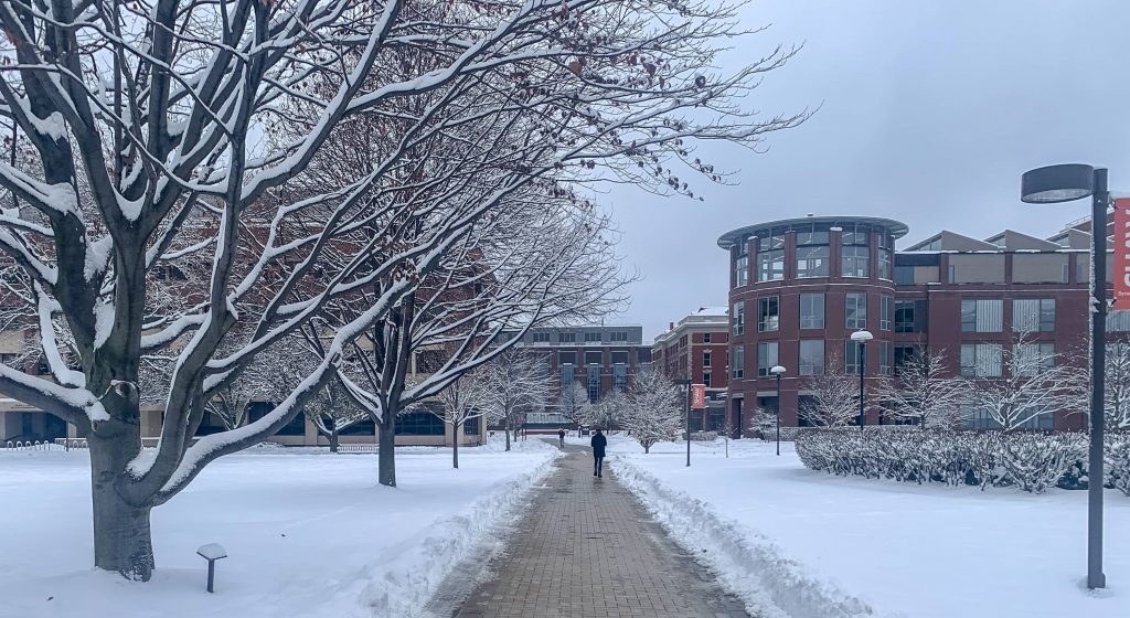 Walking in Snow