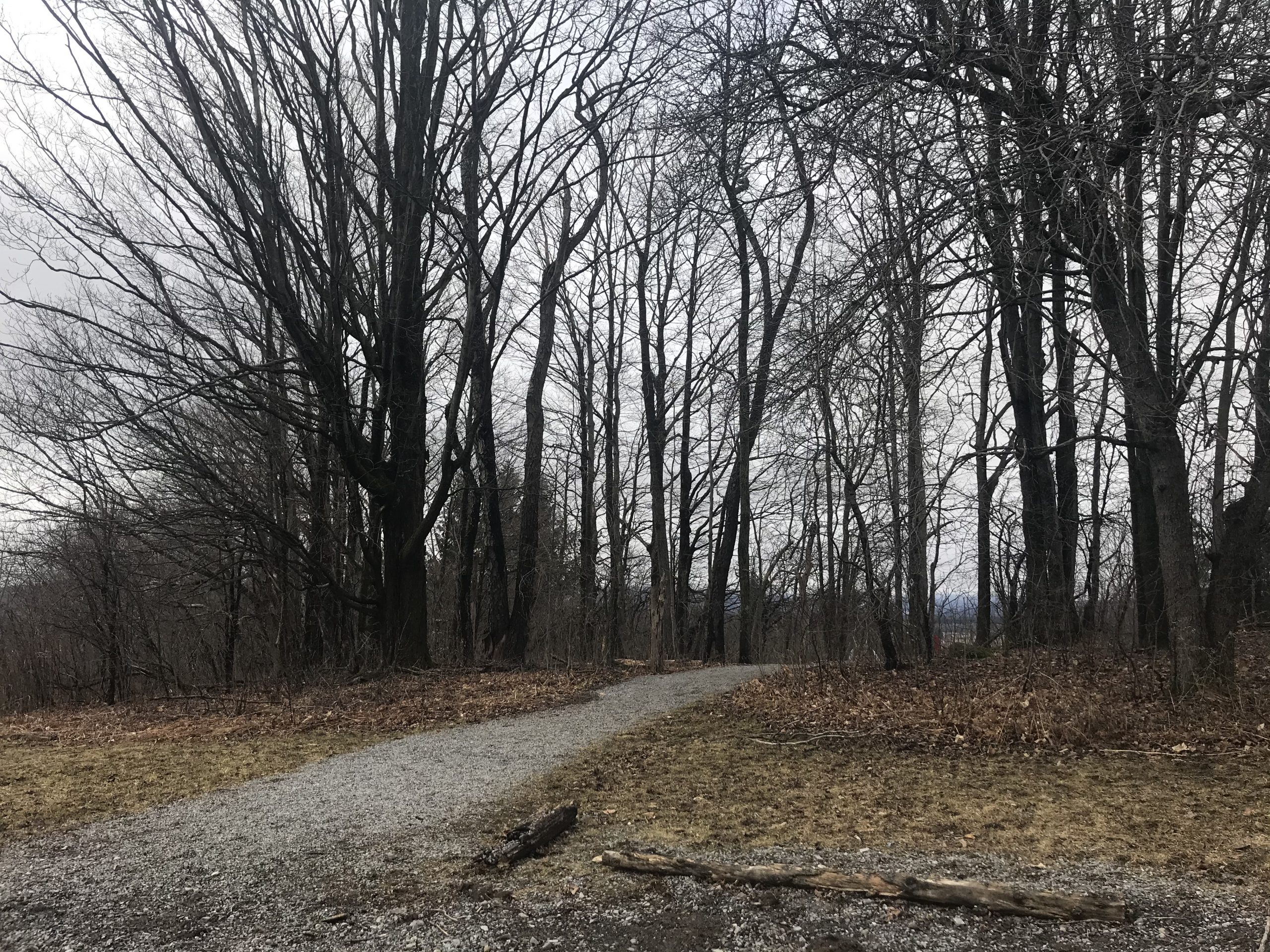 Entrance to Cazenovia's Stone Quarry Hill Art Park