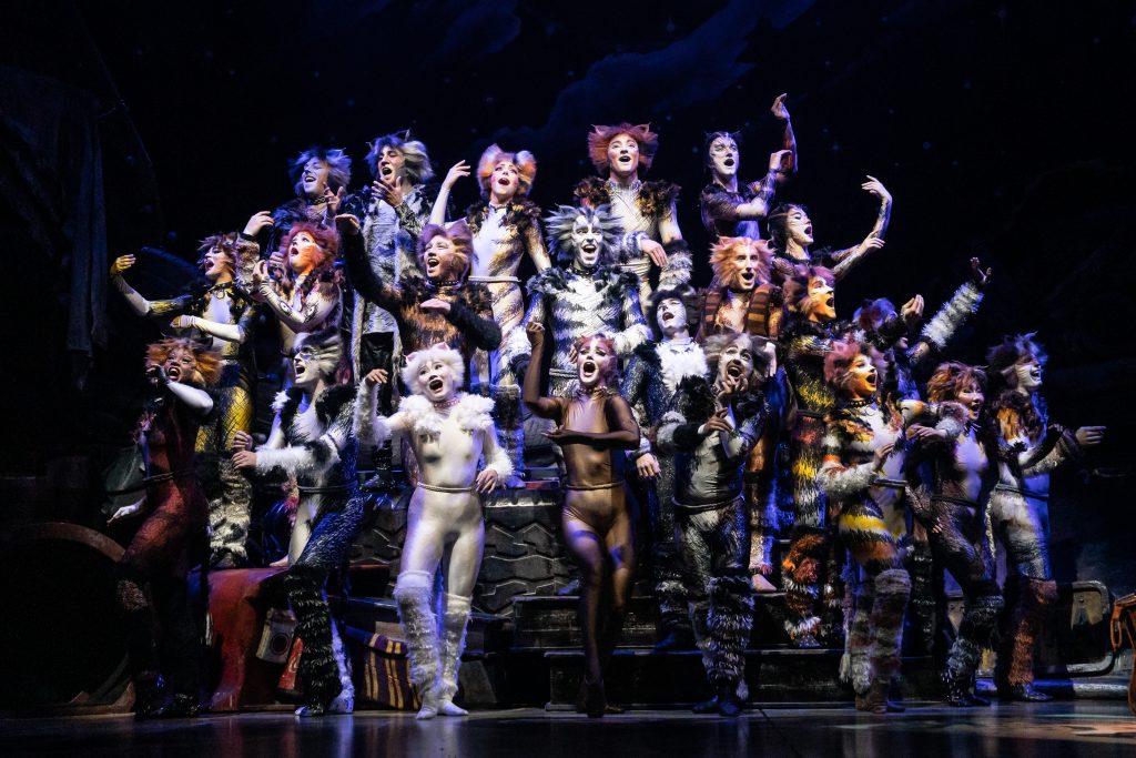 The company of the 2021-2022 national tour of CATS