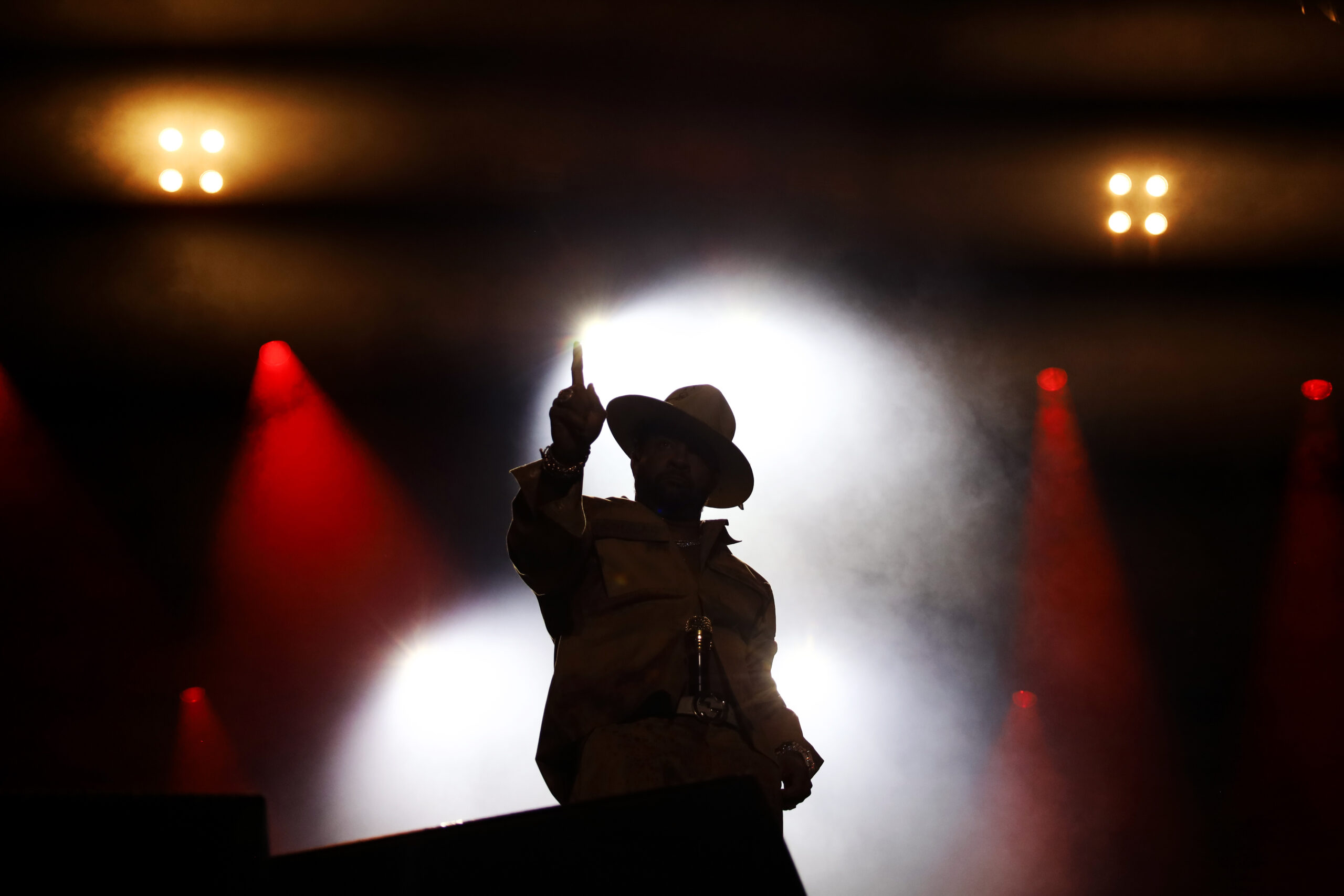 Shaggy poses in the stage lights at the beginning