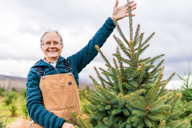 Christmas Tree Farms in Central New York