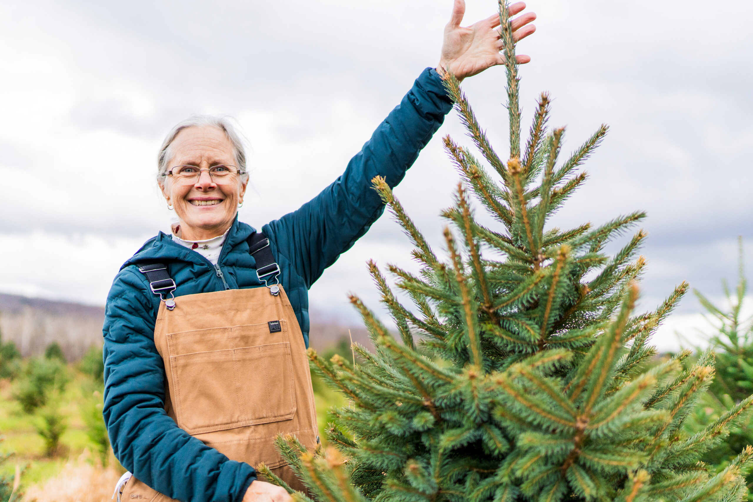 Christmas Tree Farms in Central New York