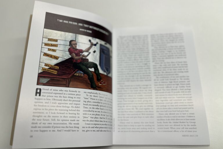 The inside of a magazine is shown with text and a cartoon image.