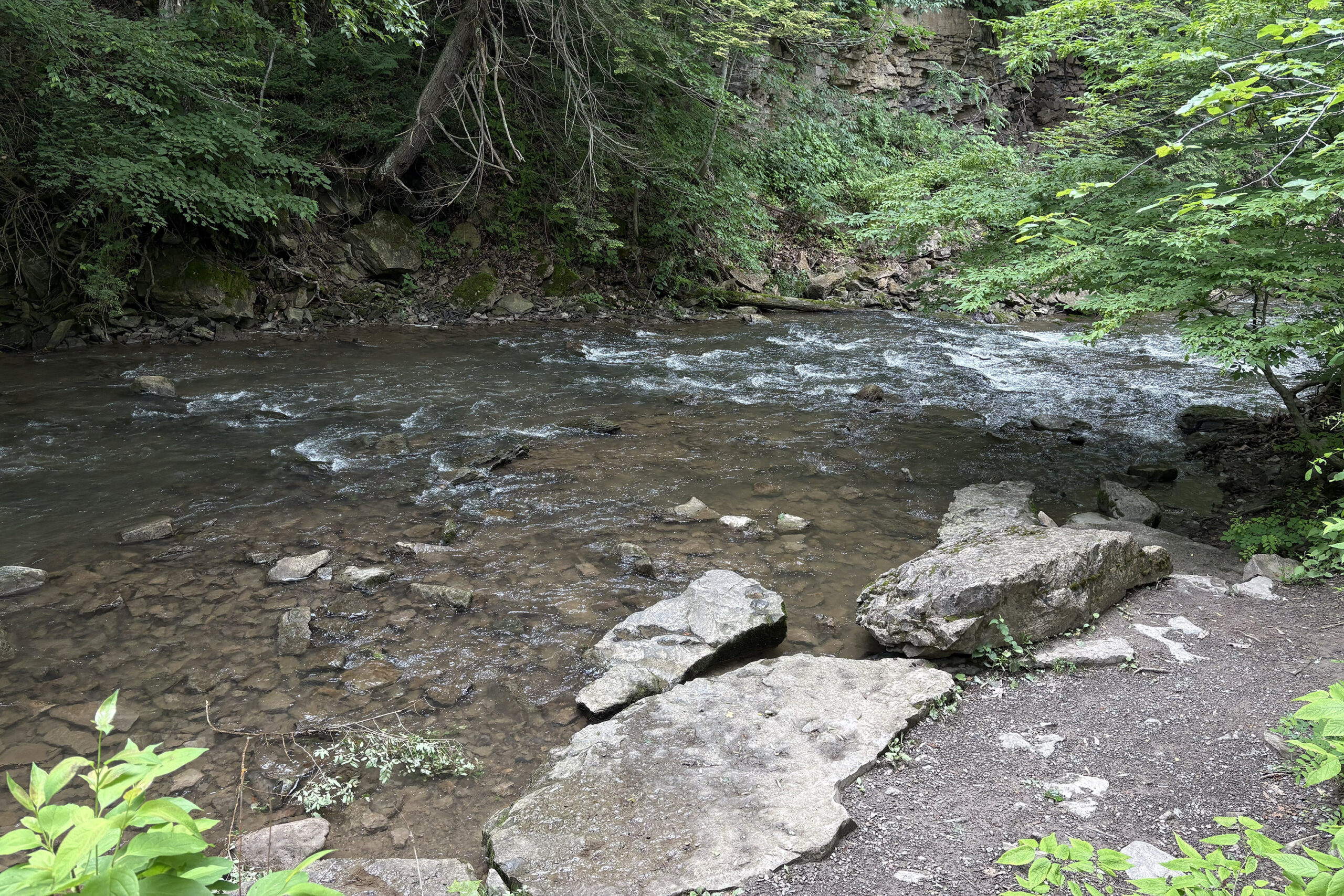 Syracuse Summer Guide '25: