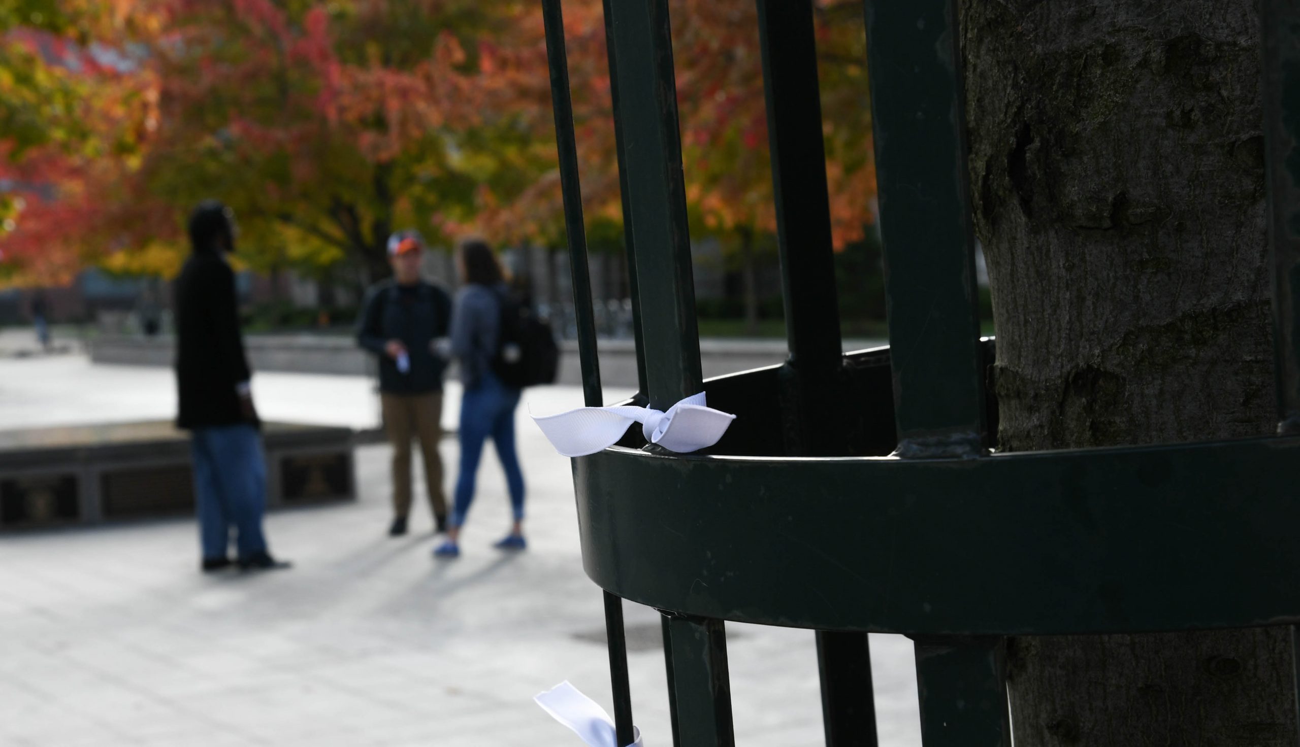 White ribbon tied in the Orange Grove on Monday, October 21, 2019.