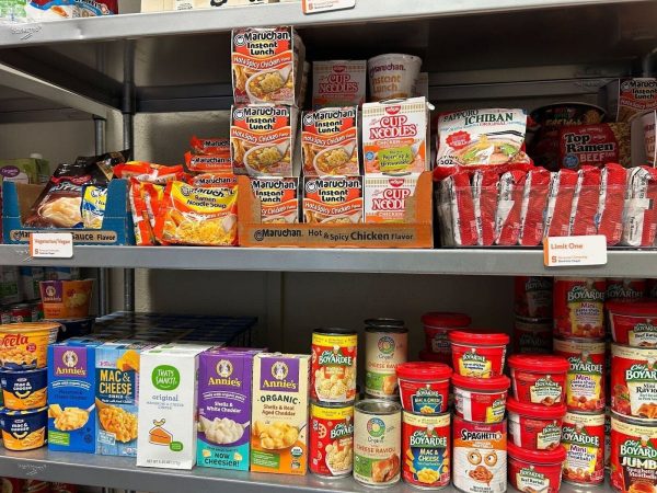 Understanding food insecurity at SU