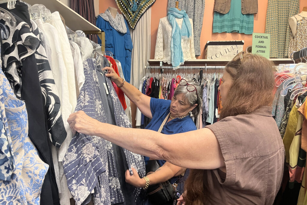 A pair of shoppers examine a top at EcoChic Boutique on East Genesee Street.