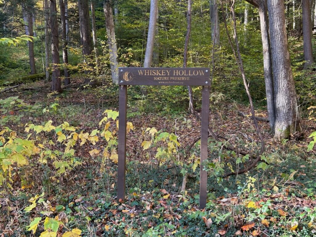 Whiskey Hollow Road 1