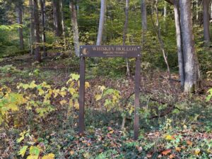 Whiskey Hollow Road 1