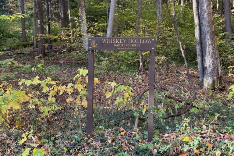 Whiskey Hollow Road 1