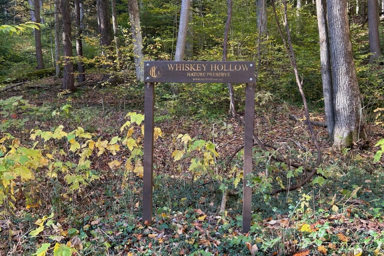 Whiskey Hollow Road 1