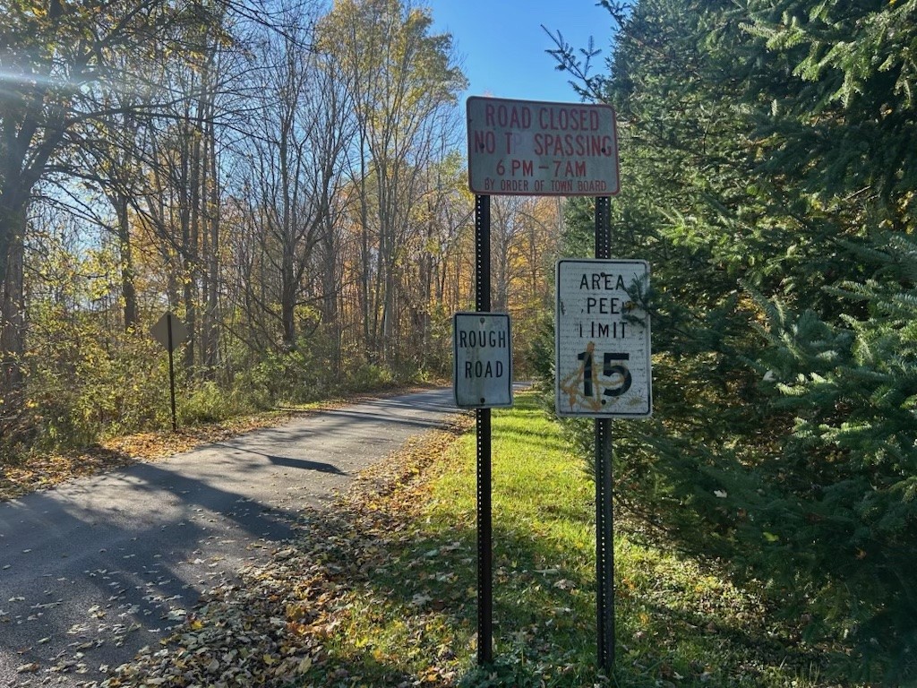 Whiskey Hollow road 2