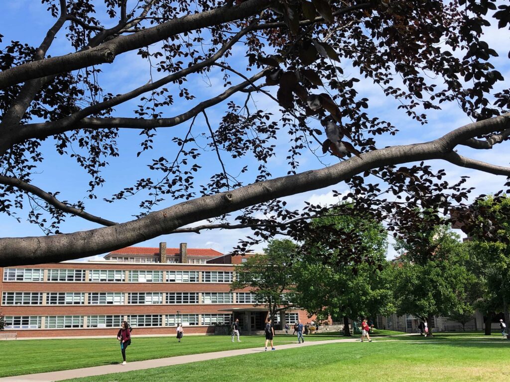 Students walking to class on the quad