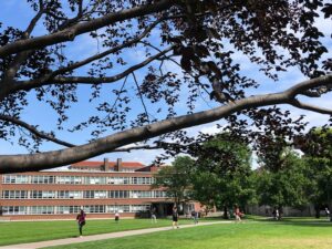 Students walking to class on the quad
