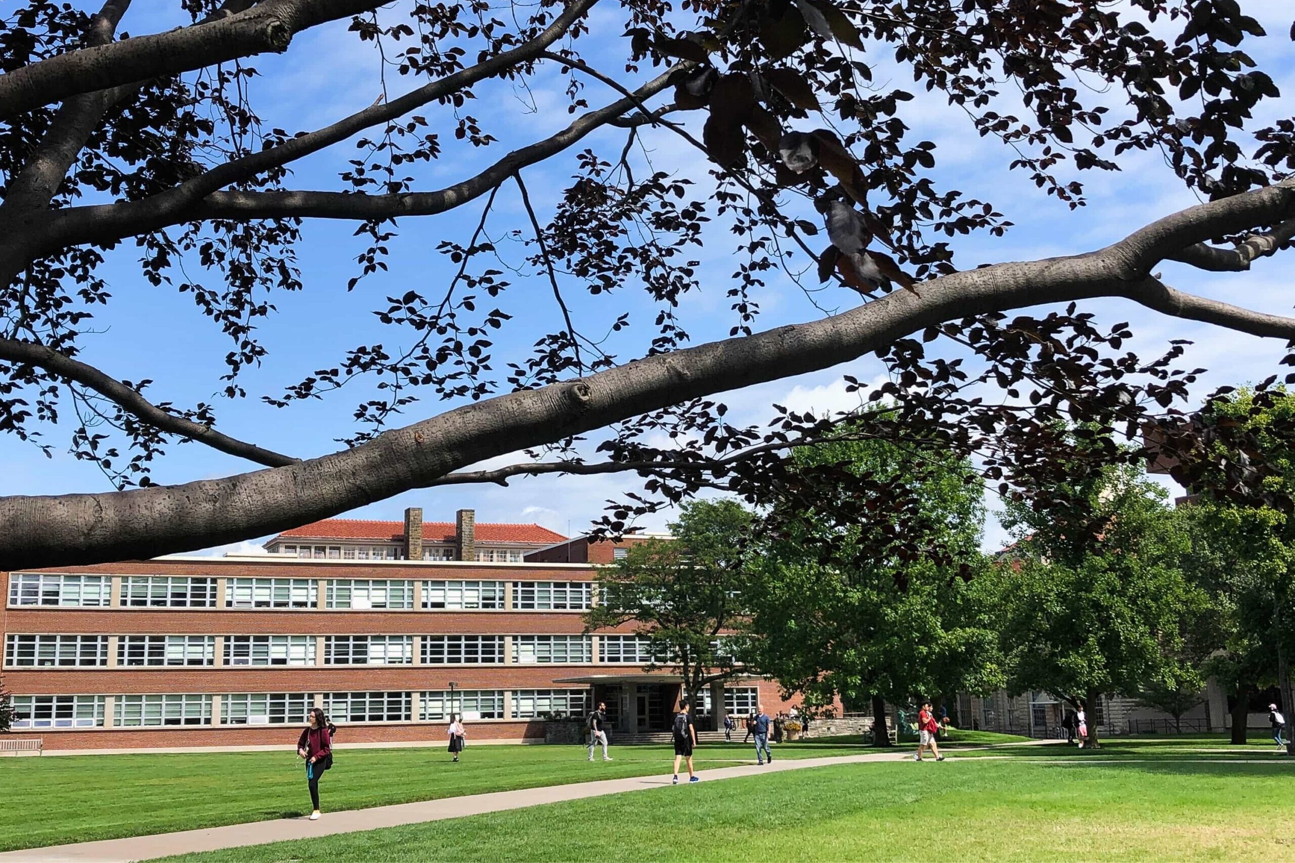 Students walking to class on the quad